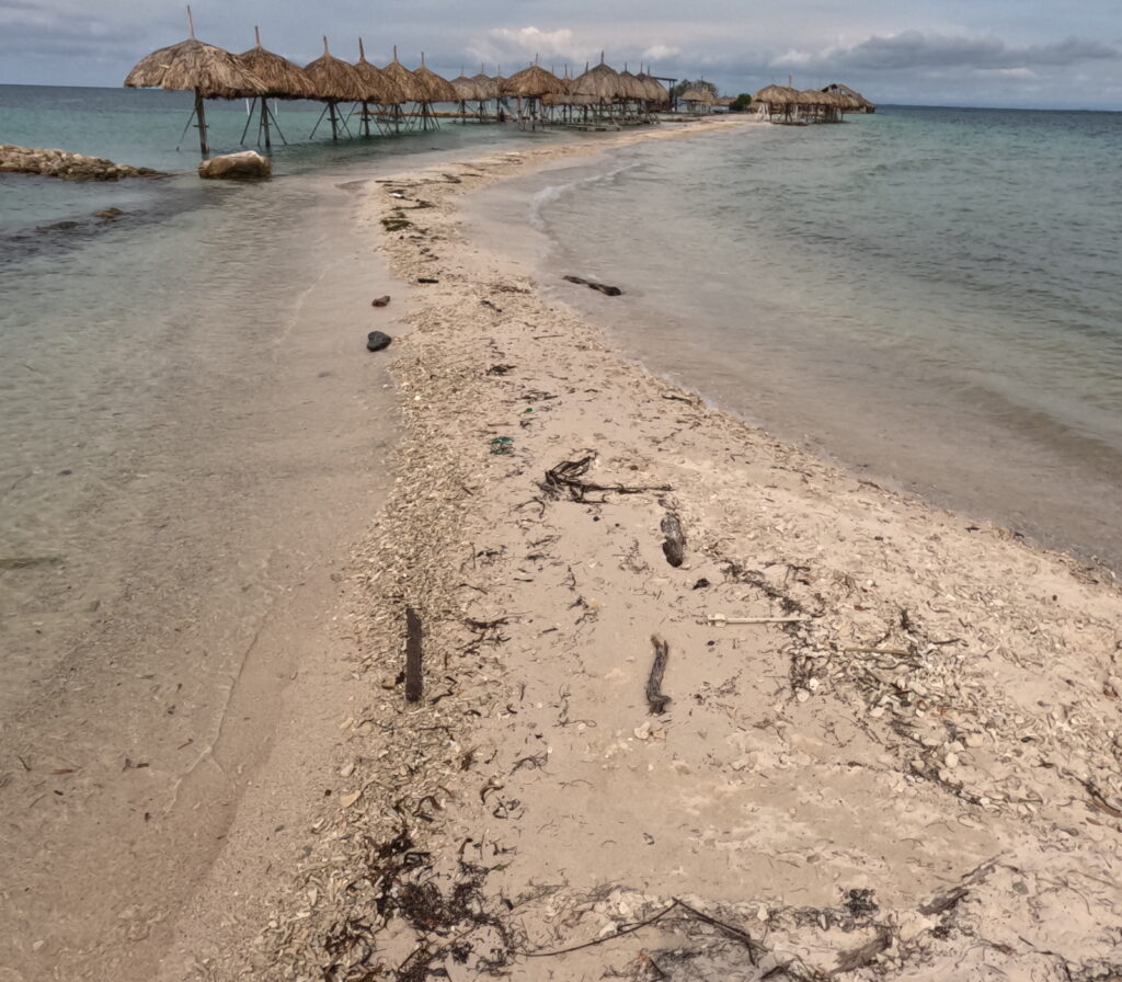 Plus Ultra Isla Palma