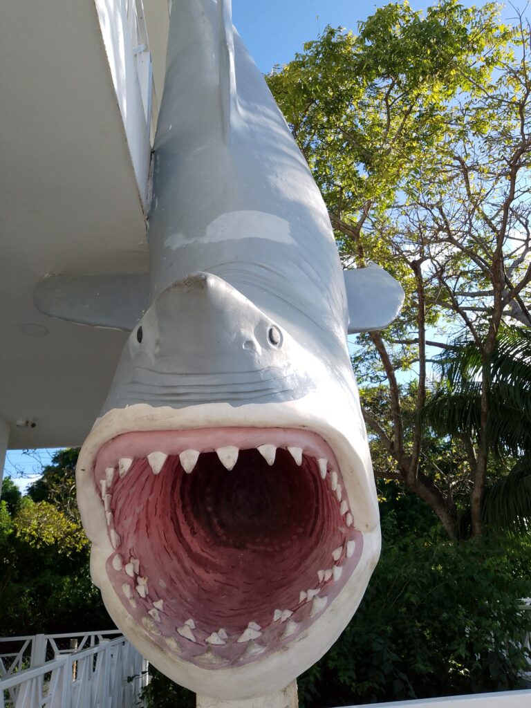 Plus Ultra Shark