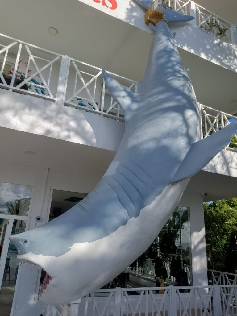 Plus Ultra Shark