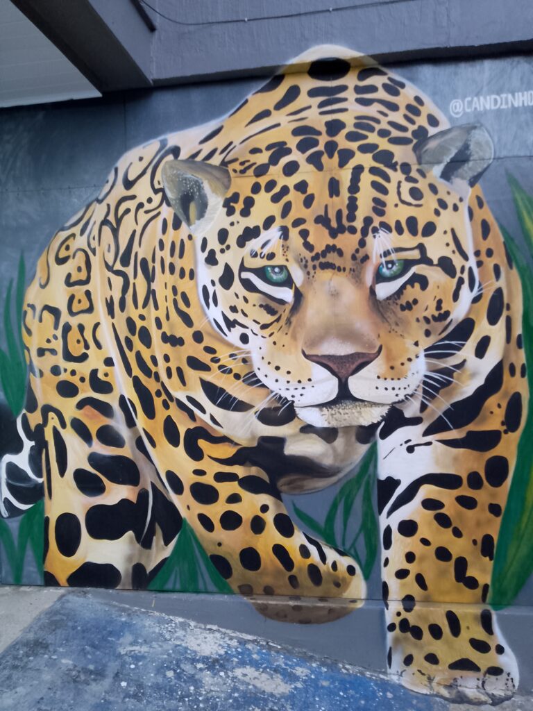 Plus Ultra Amazonas