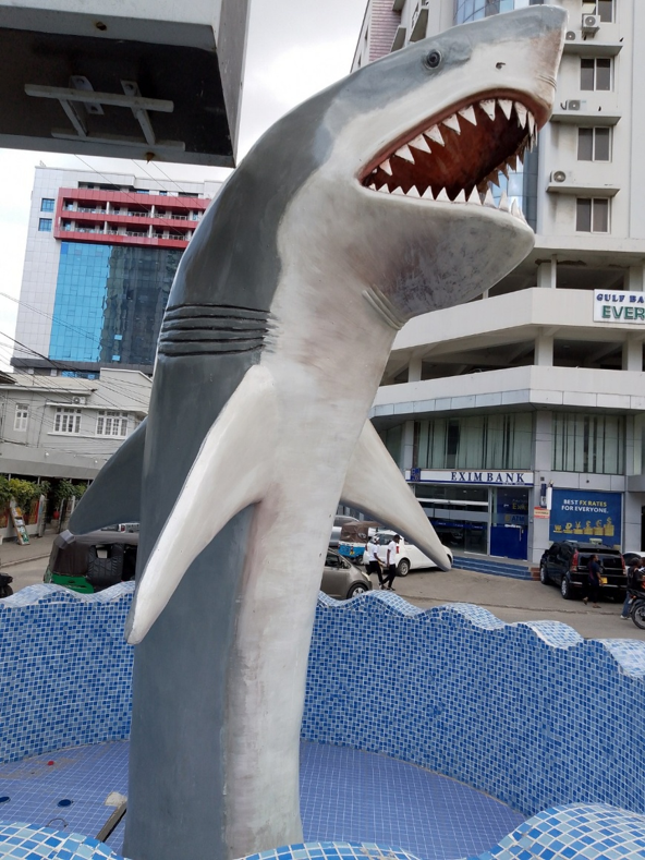 Plus Ultra Shark